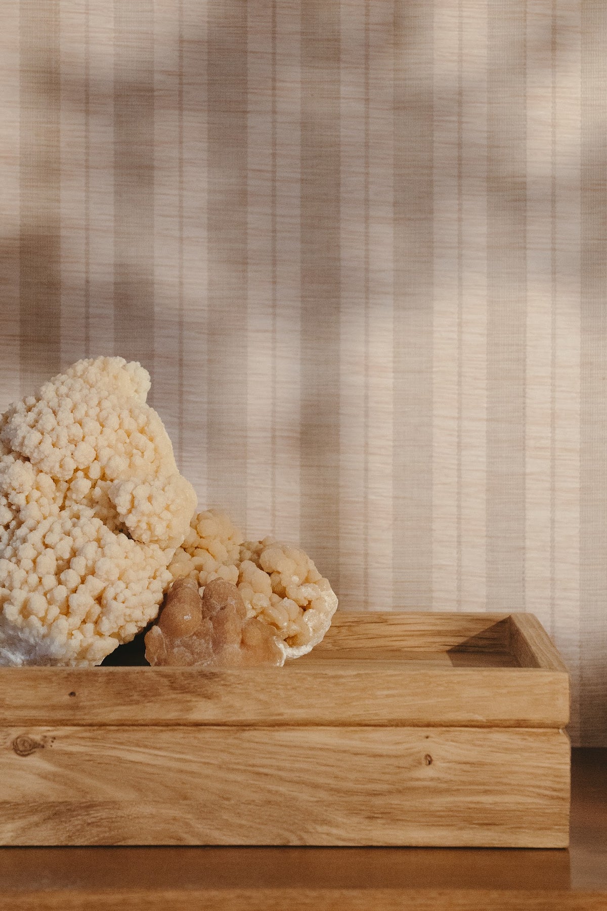 Close-up of the solid oak Tray urn with coral, showing the oak grain