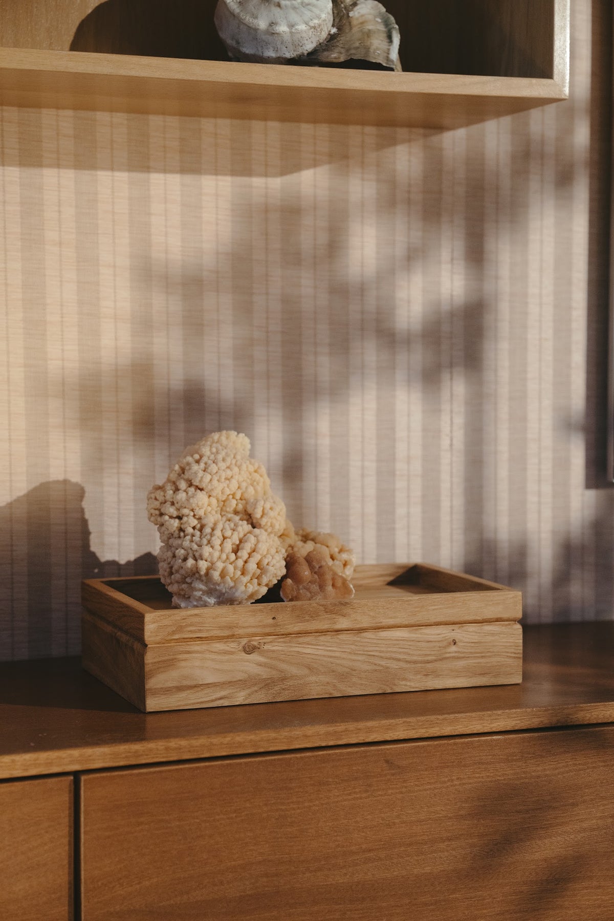 Solid oak Tray urn with coral on a sideboard in warm daylight